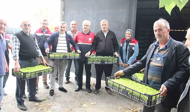 İnebolu'da 65 çiftçiye 88 bin 400 adet sebze fidesi dağıtıldı