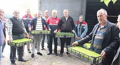 İnebolu'da 65 çiftçiye 88 bin 400 adet sebze fidesi dağıtıldı