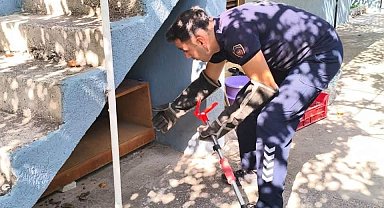 İskenderun'da evin içerisinde görülen yılan yakalandı