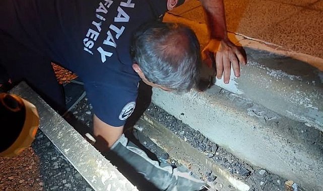 İskenderun'da mahsur kalan hayvanlar ekipler tarafından kurtarıldı