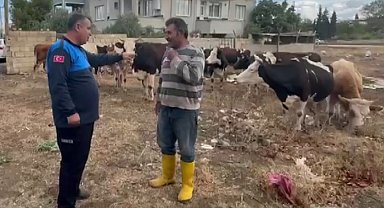 İslahiye'de kaybolan 17 büyükbaş, kulak küpelerinden sahibi tespit edilerek teslim edildi