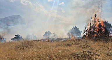 Isparta'da ormanlık alanda çıkan yangın 6 saatte söndürüldü