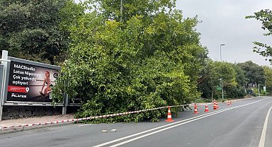 İstanbul'da yağış sonrası ağaçlar devrildi, rögarlar taştı
