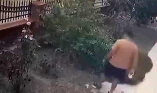 İzmir'de köpeğini gezdiren şahsın yavrulu kediye tekmeli saldırısı kamerada