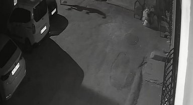 İzmir'de köpeğini tekmeleyen şahıs gözaltına alındı