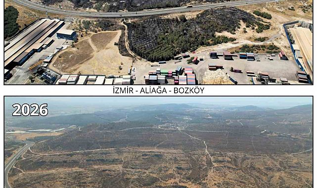 İzmir'de yanan ormanlar yeniden fidanla buluşuyor