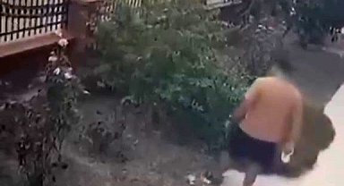 İzmir'de yavrulu kediye tekme atan saldırgan yakalandı