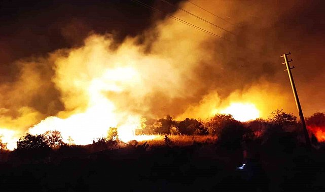 İzmir'de zeytinlik ve otluk alanda çıkan yangın kontrol altına alındı