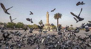 İzmir'in iklim deneyimi Avrupa'ya taşınacak