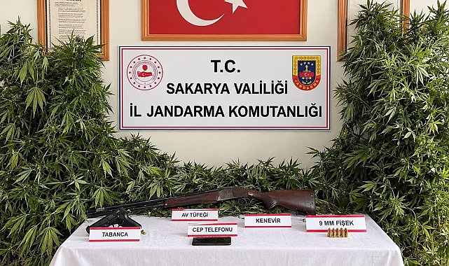 Jandarmadan 3 ilçede uyuşturucu operasyonu: 3 tutuklama