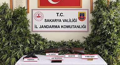 Jandarmadan 3 ilçede uyuşturucu operasyonu: 3 tutuklama