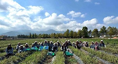 Kadın eliyle tarladan markaya: Emeğin hasadı