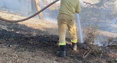 Kahramanmaraş'ta çıkan orman yangını kontrol altına alındı