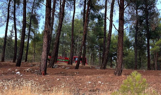 Kahramanmaraş'ta orman yangını