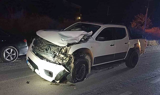 Kamyonetin çarptığı yaya hayatını kaybetti
