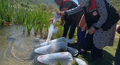 Karabük'teki göletlere 105 bin yavru balık bırakıldı