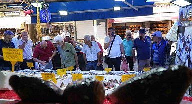 Karadeniz'de palamut patlaması: Tanesi 80 TL