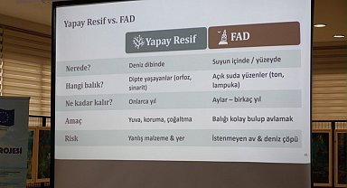 Karadeniz'in deniz çayırları haritalandı