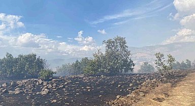 Karakoçan'da çıkan yangın söndürüldü