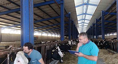 Karapınar'da hastalıktan ari işletmelerde tüberküloz taraması