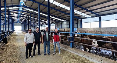 Karapınar'da ithal besilik sığırlara sıkı denetim