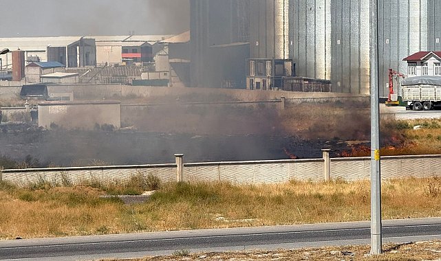 Karapınar'da ot yangını paniği
