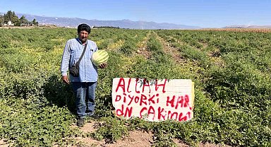 Karpuz hırsızlarıyla başa çıkmak için kibar ikazda bulunan çiftçinin çözümü sonuçsuz kalınca tarlada nöbete başladı