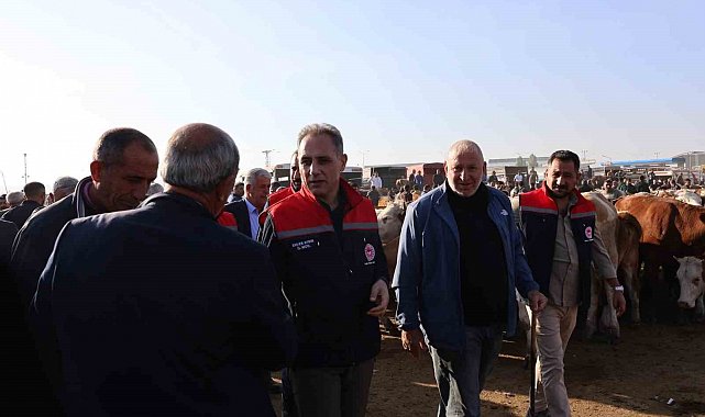 Kars Hayvan Pazarı'nda sıkı denetim: Hayvan hareketliliğine sağlık ve güvenlik filtresi