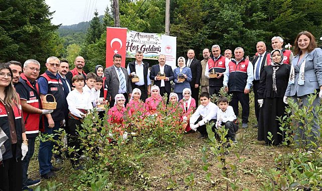 Kastamonu'da aronya hasadı başladı