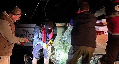 Kastamonu'da barajdan 2 bin 500 metre ağ çıktı, kurtarılan 225 sazan gölete bırakıldı