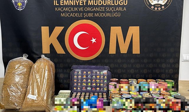 Kastamonu'da kaçakçılık operasyonu: 13 gözaltı