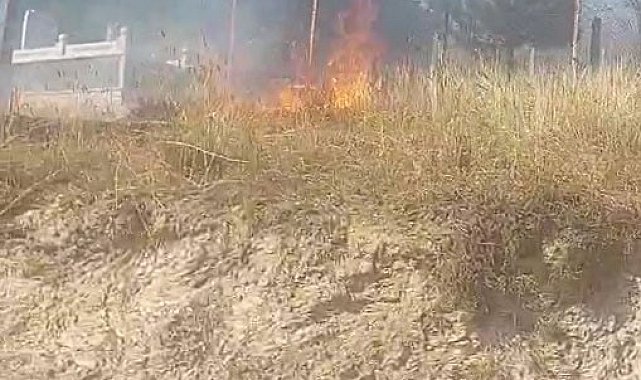 Kastamonu'da otluk alanda çıkan yangın mezarlara zarar verdi
