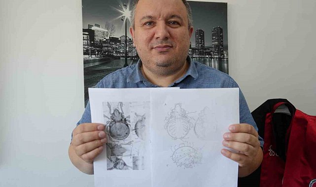 Kastamonu'da tespit edilen yeni akar türü bilim literatürüne kazandırıldı