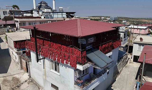 Kavurucu sıcakta tek tek ipe dizilen dolmalık acı biberler, mahalledeki balkonları kırmızıya bürüdü