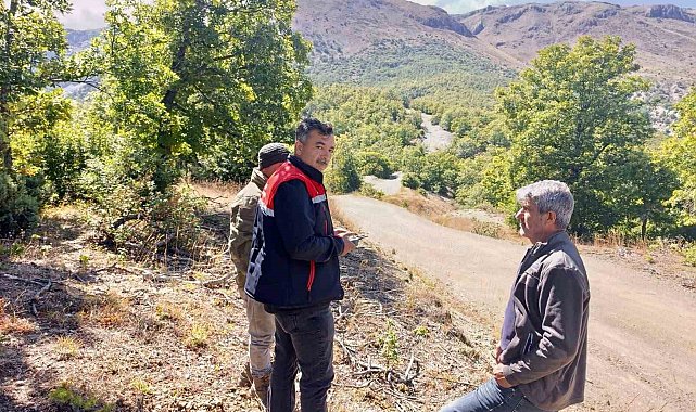 Kaybolan 9 büyükbaş hayvan dron ile bulundu