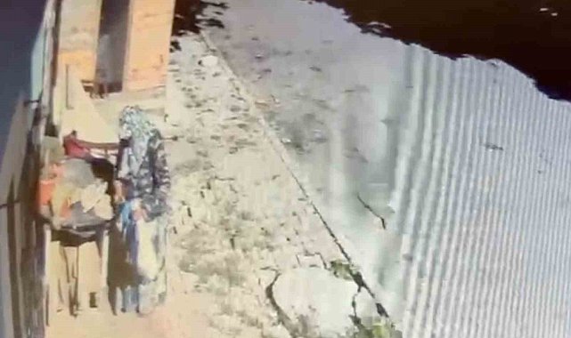 Kaynanasının en sevdiği çiçek çalındı: "Teyzenin yapacağı aklımızdan geçmezdi"