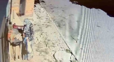 Kaynanasının en sevdiği çiçek çalındı: "Teyzenin yapacağı aklımızdan geçmezdi"
