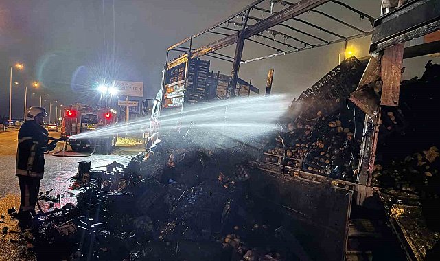 Kayseri'de sebze ve meyve yüklü kamyon alevlere teslim oldu