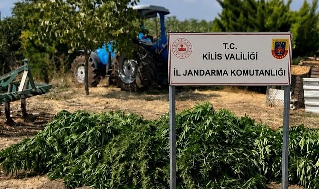 Kilis'te 40 kilo 500 gram kubar esrar ele geçirildi