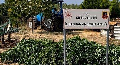 Kilis'te 40 kilo 500 gram kubar esrar ele geçirildi