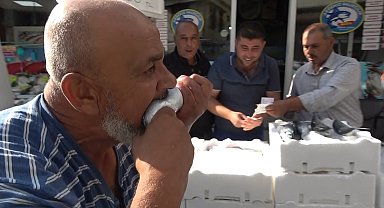 Kilis'te palamut 100 liraya düştü, balıkçı çiğ çiğ yedi