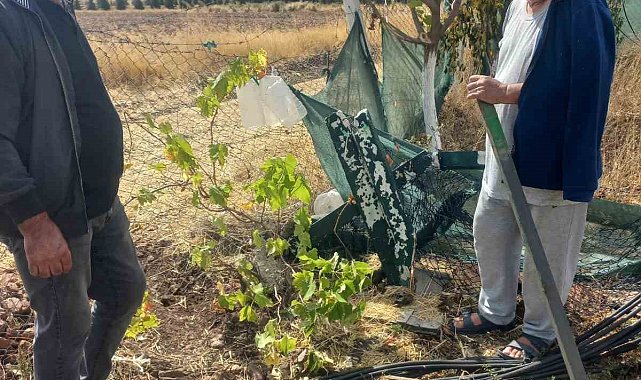 Kimliği belirsiz kişiler bahçe tellerine zarar verdi