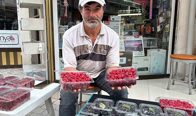 Kıraç arazileri aronya ve ahududugil yetiştirerek değerlendirdi