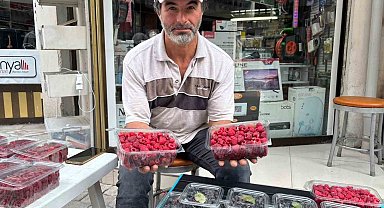 Kıraç arazileri aronya ve ahududugil yetiştirerek değerlendirdi