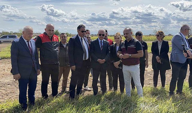 Kırklareli'nde meralar toprak altı damlama sulama sistemi ile verimliliği arttırılacak