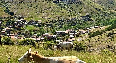 Kırsal dezavantajlı alanlara yönelik çalışmalar sürüyor