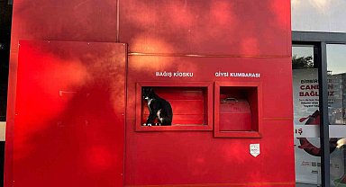 Kızılay'ın sevimli bekçisi