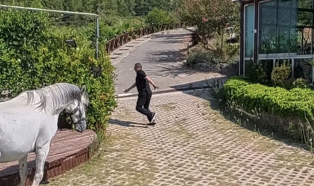 Klip çekiminde atın altında kalmaktan son anda kurtuldu