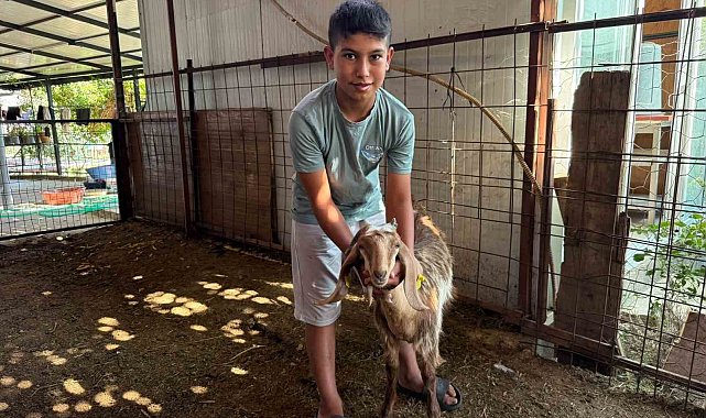 Koca yürekli iki kuzen, yangından kurtardıkları oğlaklarını sırtlarında taşıdı