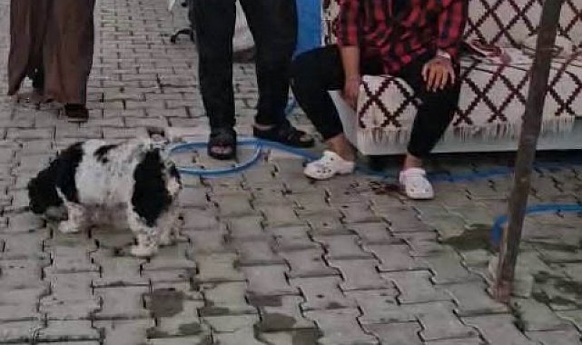 Konteyner kentte imam nikahlı koca dehşeti: Karısı ve kızıyla birlikte toplam 4 kişiyi palayla yaraladı
